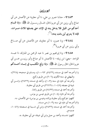 Musnad e bazzar vol 17