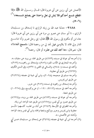 Musnad e bazzar vol 17