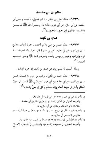 Musnad e bazzar vol 17