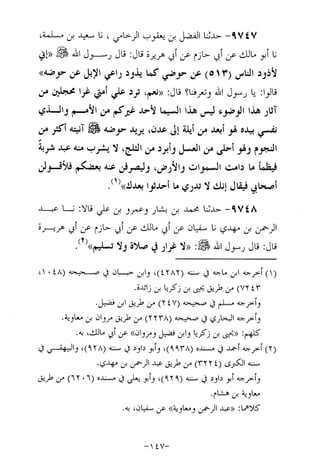 Musnad e bazzar vol 17