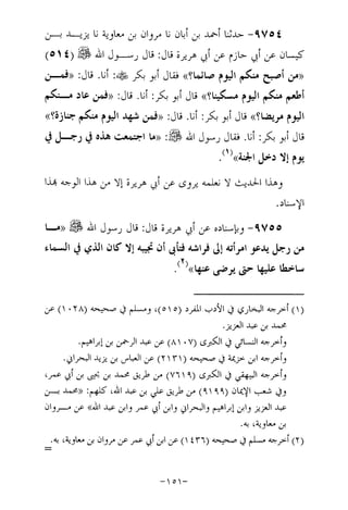 Musnad e bazzar vol 17