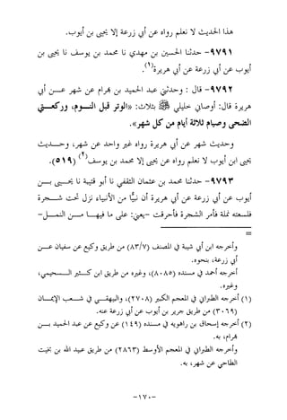 Musnad e bazzar vol 17