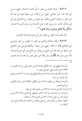 Musnad e bazzar vol 17