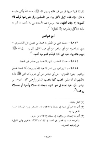 Musnad e bazzar vol 17