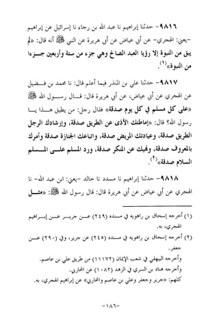 Musnad e bazzar vol 17