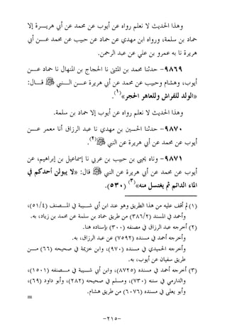 Musnad e bazzar vol 17