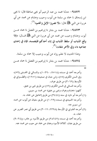 Musnad e bazzar vol 17