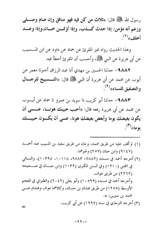 Musnad e bazzar vol 17