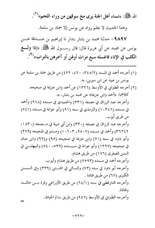 Musnad e bazzar vol 17