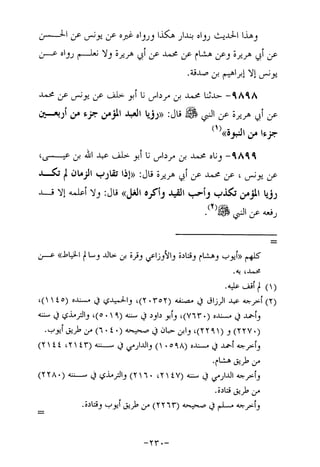 Musnad e bazzar vol 17