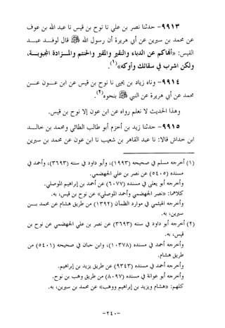 Musnad e bazzar vol 17