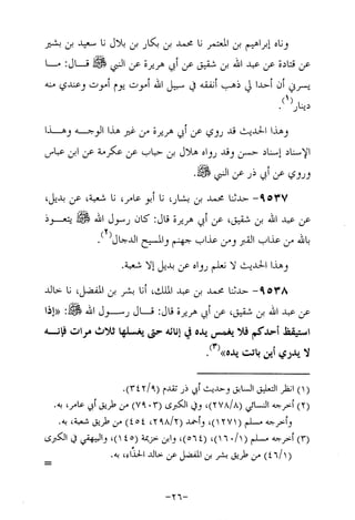 Musnad e bazzar vol 17