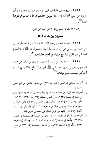 Musnad e bazzar vol 17