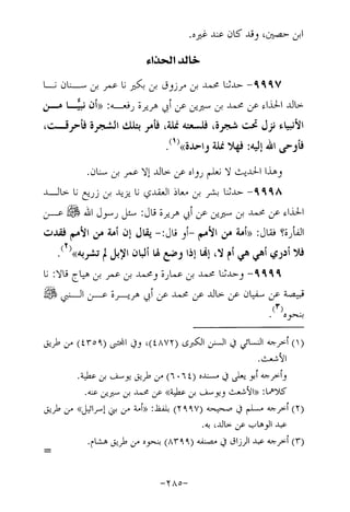 Musnad e bazzar vol 17