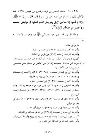 Musnad e bazzar vol 17