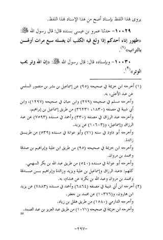 Musnad e bazzar vol 17