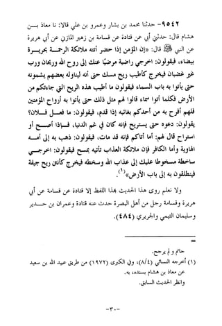 Musnad e bazzar vol 17