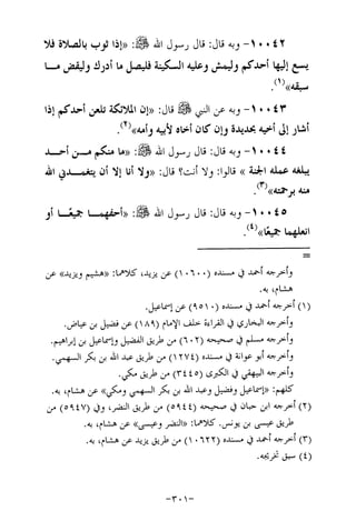 Musnad e bazzar vol 17