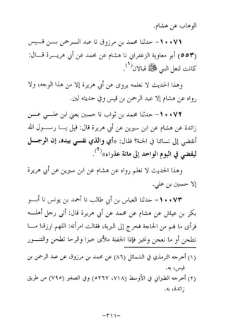 Musnad e bazzar vol 17