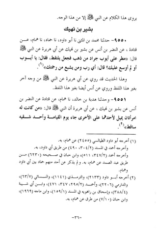 Musnad e bazzar vol 17