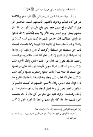 Musnad e bazzar vol 17