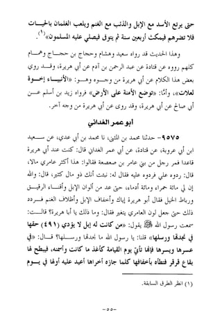 Musnad e bazzar vol 17