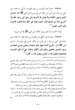 Musnad e bazzar vol 17