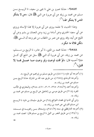 Musnad e bazzar vol 17