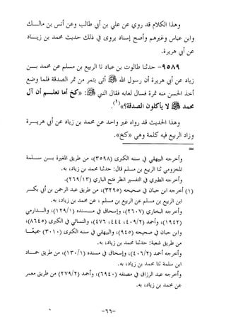 Musnad e bazzar vol 17