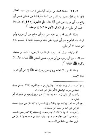 Musnad e bazzar vol 17