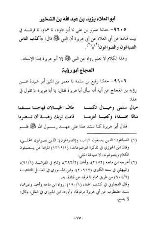 Musnad e bazzar vol 17