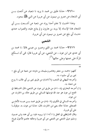 Musnad e bazzar vol 17