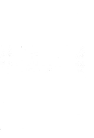 Musnad e bazzar vol 3