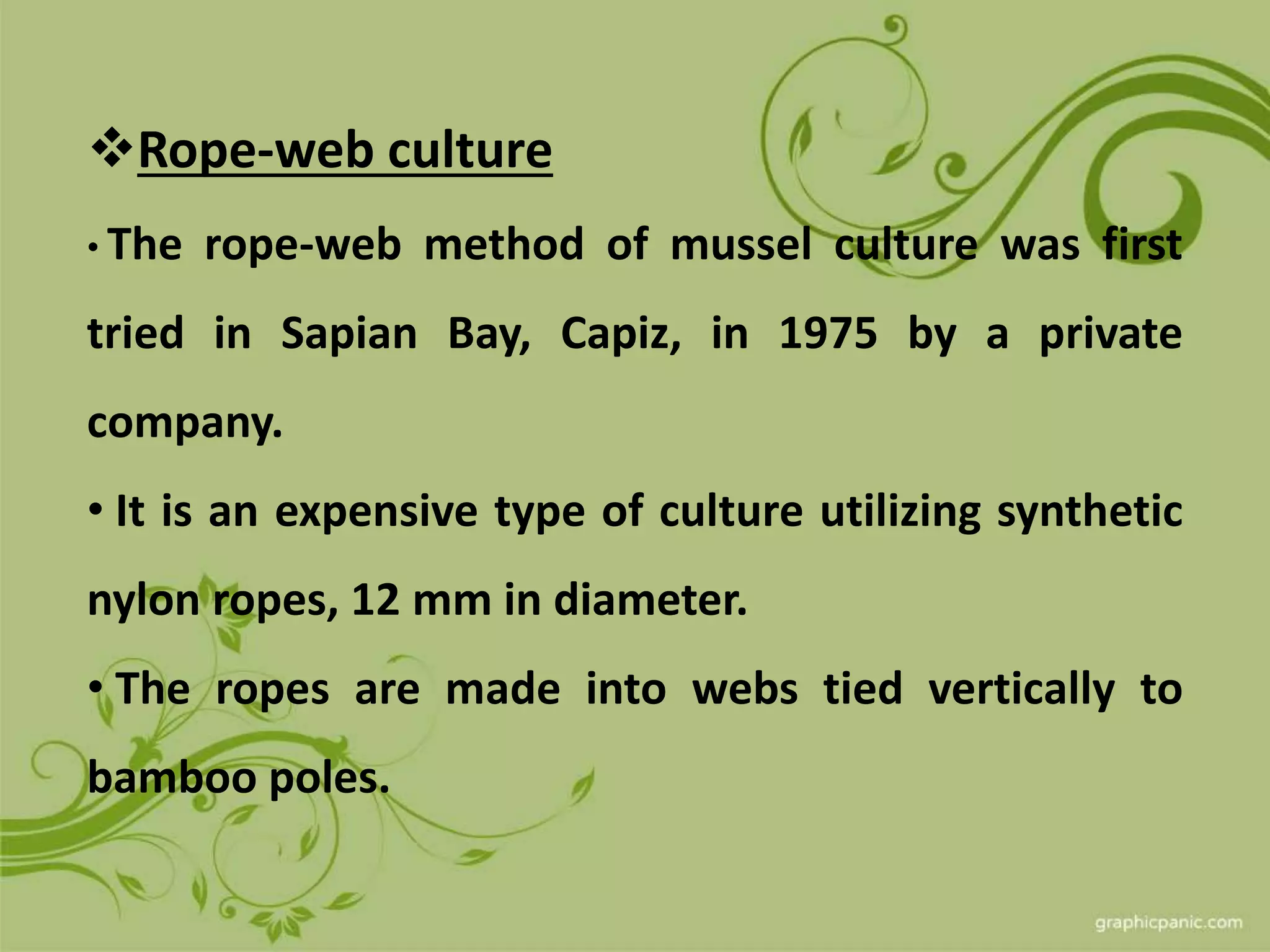 Mussel grow out culture | PPTX