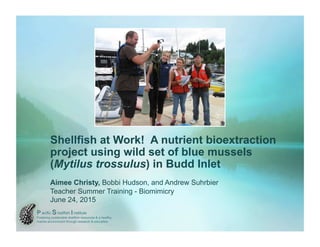 Shellfish at Work! A nutrient bioextraction
project using wild set of blue mussels
(Mytilus trossulus) in Budd Inlet
Aimee Christy, Bobbi Hudson, and Andrew Suhrbier
Teacher Summer Training - Biomimicry
June 24, 2015
 