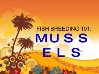 FISH BREEDING 101: MUSSELS 