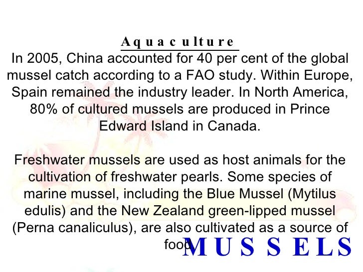 mussels