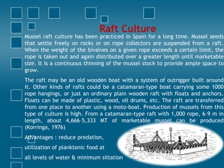 Culture Methods of Mussels | PPTX