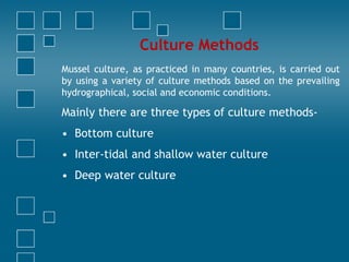 Culture Methods of Mussels