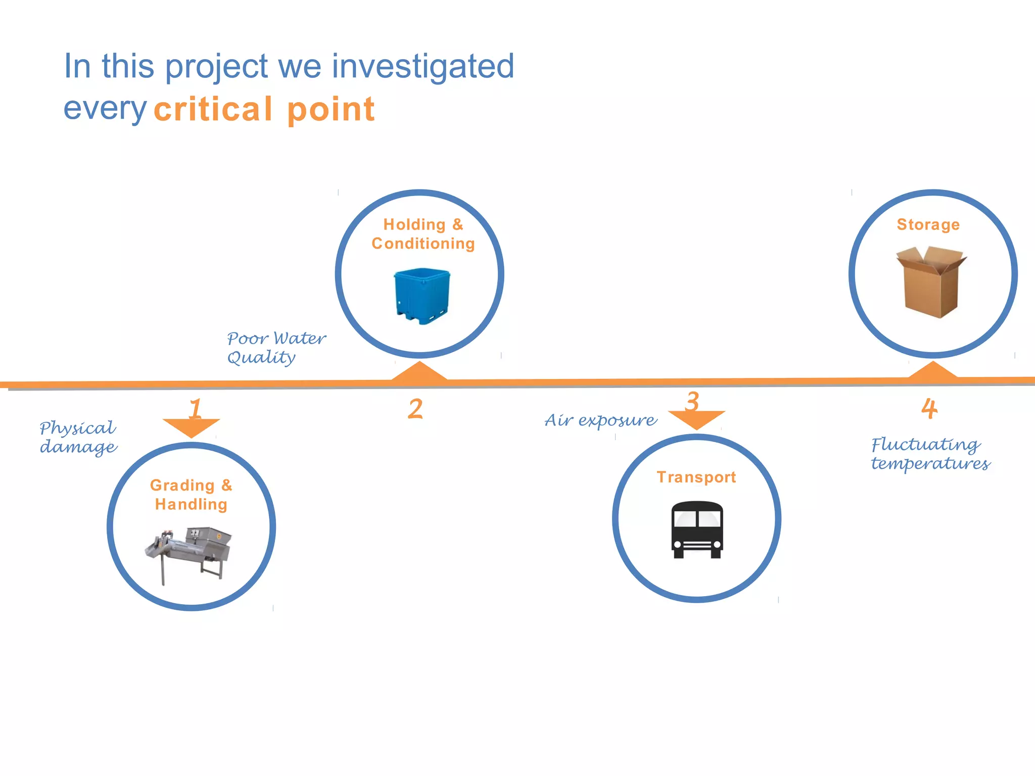 In this project we investigated
  every critical point


                                 Holding &                                  Storage
                                Conditioning




                   Poor Water
                   Quality


              1                    2                            3              4
                                               Air exposure
Physical
damage                                                                    Fluctuating
                                                                          temperatures
                                                              Transport
           Grading &
           Handling
 