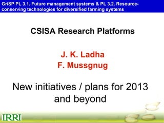 GriSP PL 3.1. Future management systems & PL 3.2. Resource-
conserving technologies for diversified farming systems




            CSISA Research Platforms

                         J. K. Ladha
                        F. Mussgnug

    New initiatives / plans for 2013
              and beyond
 