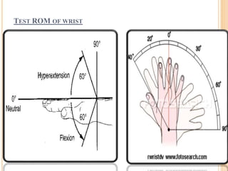 Physical Assessment of Musculoskeletal System | PPTX