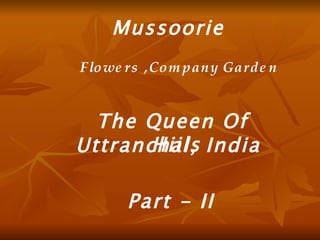 Mussoorie The Queen Of  Hiils Uttranchal, India Part - II Flowers ,Company Garden  