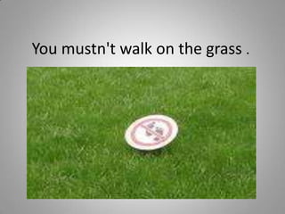 You mustn't walk on the grass .
 