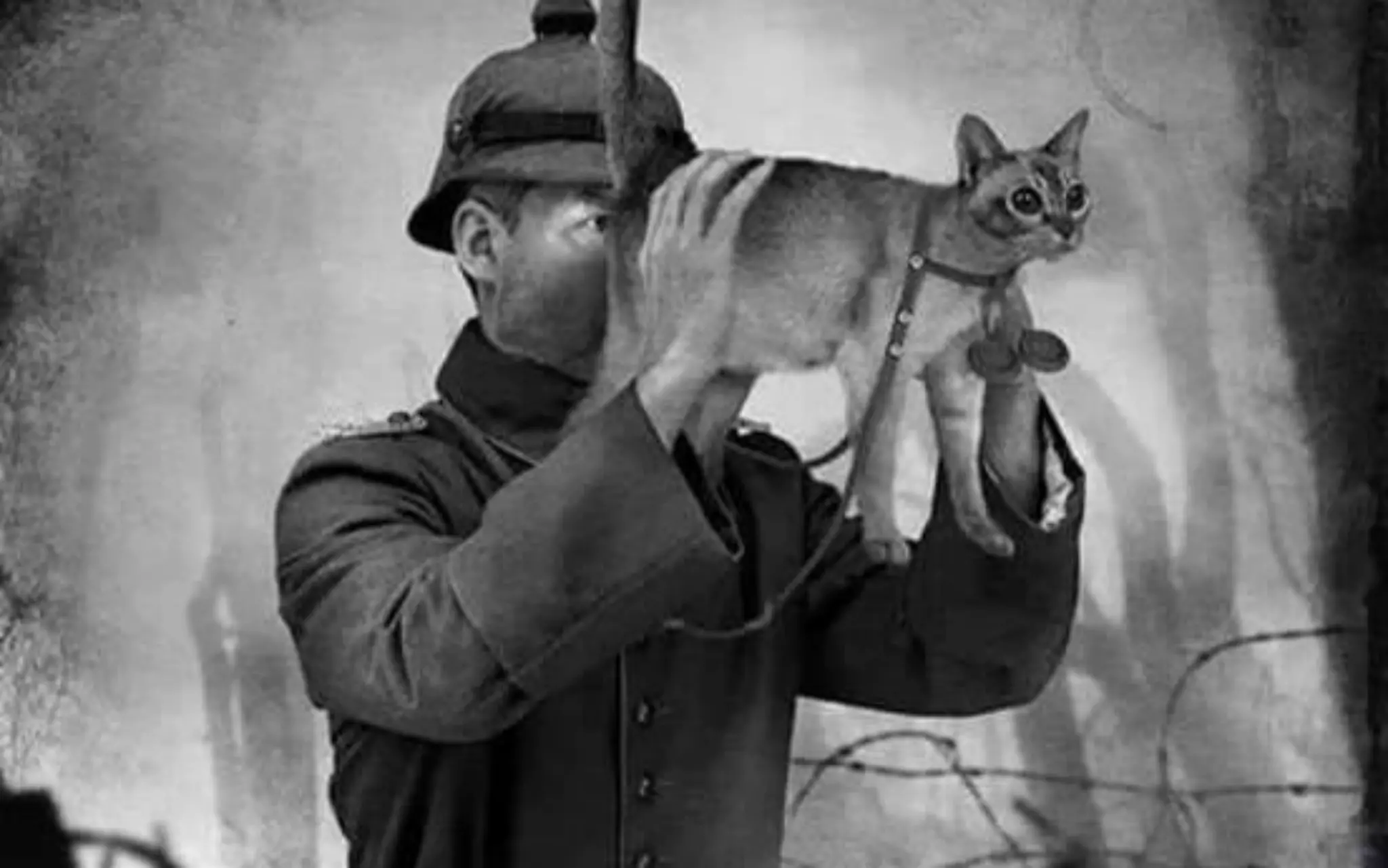 Let’s look with the eyes of a …
 