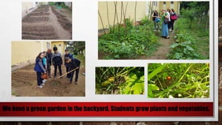 We have a green garden in the backyard. Students grow plants and vegetables.
 