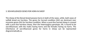 3. SEX-INFLUENCED GENES FOR HORN IN SHEEP
The sheep of the Dorset breed possess horns in both of the sexes, while, both sexes of
suffolk breed are hornless. The genes for horned condition (HH) are dominant over
recessive genes (hh) for hornless condition. When a pure-line horned sheep is crossed
with a pure line hornless sheep, then the heterozygous genotype, Hh, is found to be
sex-influenced, with the males having horns and the females having no horns. The
inheritance of sex-influenced genes for horns in sheep can be represented
diagrammatically as
 