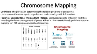 Chromosome Mapping
Definition: The process of determining the relative positions of genes on a
chromosome.Creates maps to organize and understand genetic information.
Historical Contributions: Thomas Hunt Morgan: Discovered genetic linkage in fruit flies,
revealing the linear arrangement of genes. Alfred H. Sturtevant: Developed chromosome
mapping in 1911 using recombination frequency.
 