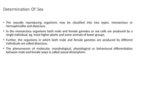 Determination Of Sex
• The sexually reproducing organisms may be classified into two types: monoecious or
hermaphrodite and dioecious.
• In the monoecious organisms both male and female gametes or sex cells are produced by a
single individual, eg, most higher plants and some animals of lower groups.
• Further, the organisms in which both male and female gametes are produced by different
individuals are called dioecious.
• The phenomenon of molecular, morphological, physiological or behavioural differentiation
between male and female sexes is called sexual dimorphism.
 