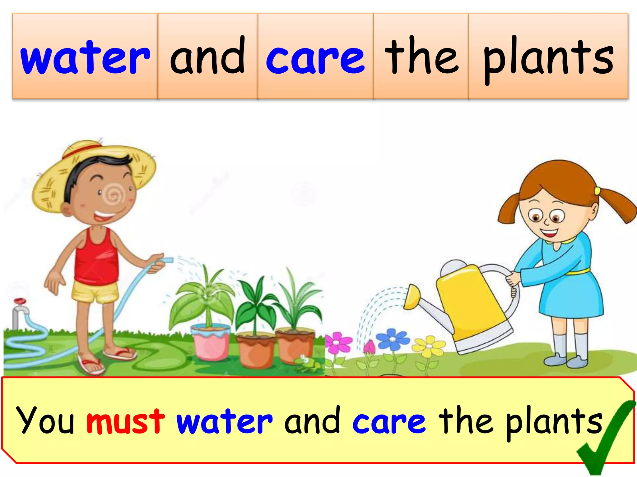 water and care the plants
You must water and care the plants.
 